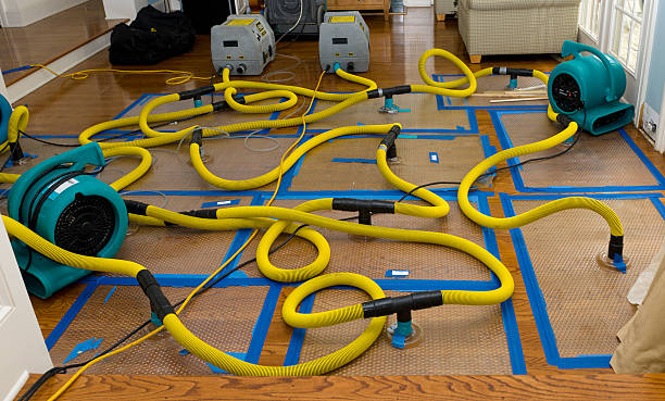 Professional Crawl Space Water Removal technician working in Sagamore, MA